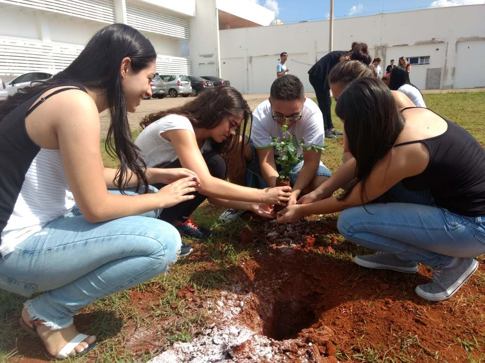 Plantio de mudas rotary março 9